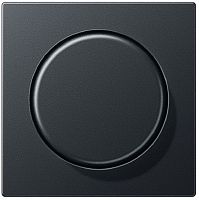 Лицевая панель Jung EcoProfi для светорегулятора поворотного антрацит картинка